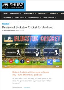 shubz review of Blokstok Cricket Screenshot